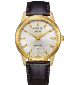 Citizen Classic miesten kello AW0102-13A