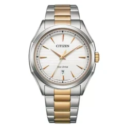 Citizen miesten kello AW1756-89A