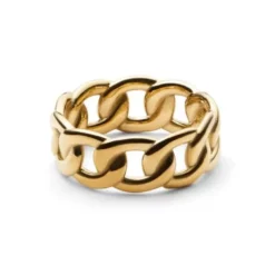 Daniel Wellington Chain terässormus DW004008GP