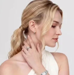 Daniel Wellington Classic Arch teräskorvakorut DW00401945