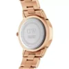 Daniel Wellington Iconic Link naisten kello DW00100209