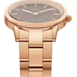 Daniel Wellington Iconic Link naisten kello DW00100210