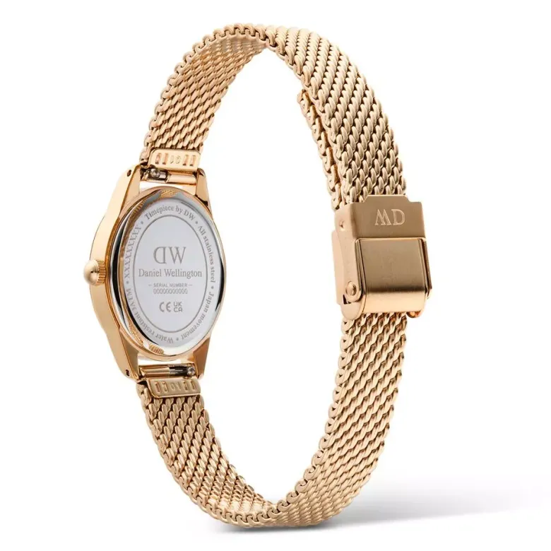 Daniel Wellington Ophelia Mini Mesh naisten kello DW00100940