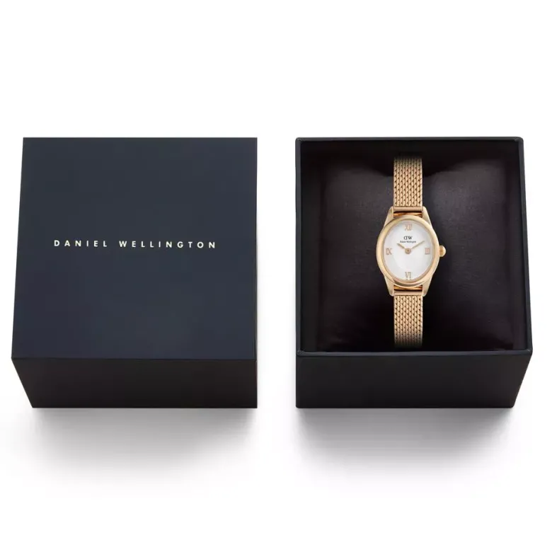 Daniel Wellington Ophelia Mini Mesh naisten kello DW00100940