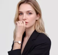 Daniel Wellington Petite Mini Arch naisten kello DW00100923