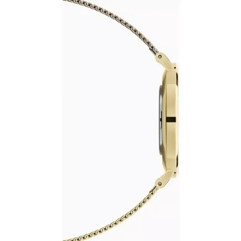 Daniel Wellington Petite naisten kello DW00100345