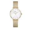 Daniel Wellington Petite naisten kello DW00100594
