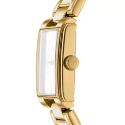 DKNY Everyday naisten kello DK1L121M0065
