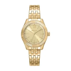 DKNY Everyday naisten kello DK1L017M1065