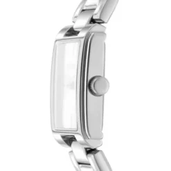 DKNY Everyday naisten kello DK1L121M0045