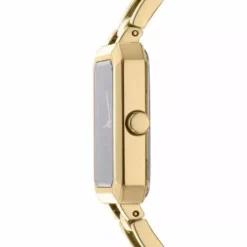 DKNY Uptown Midi naisten kello DK1L009M0015