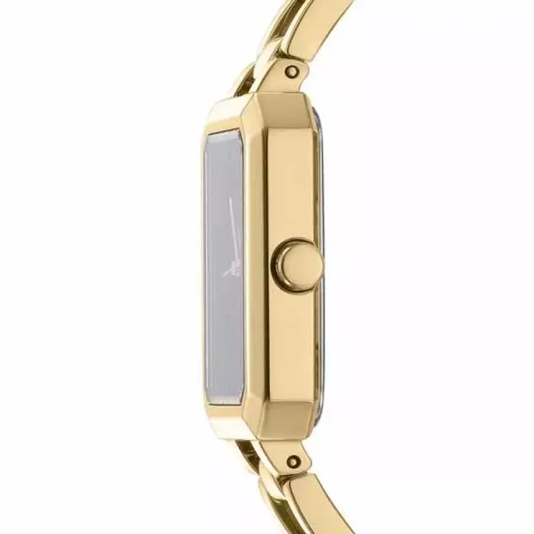 DKNY Uptown Midi naisten kello DK1L009M0015