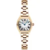 Gant Caribou naisten kello G301003