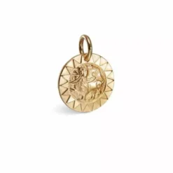 Kalevala Amuletti Aurinkoleijona pronssiriipus 38703132