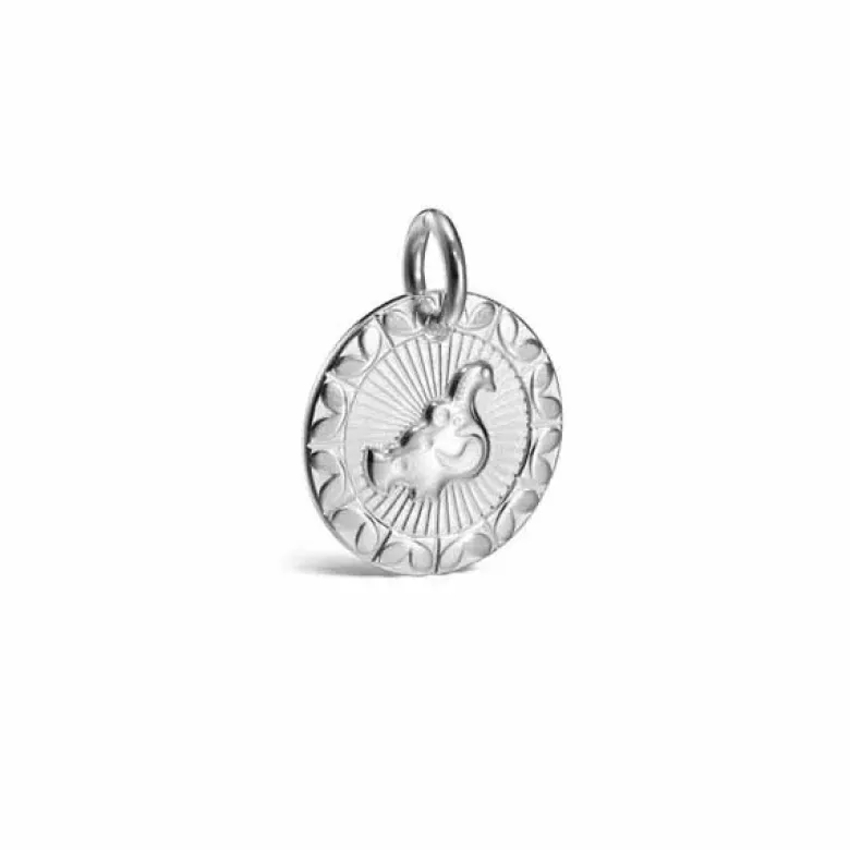 Kalevala Amuletti hopeariipus 28703152