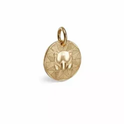 Kalevala Amuletti Pohjankarhu pronssiriipus 38703142