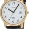 Leijona miesten kello 5020-677