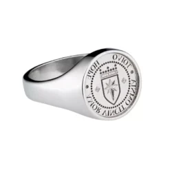 Lumoava Toivo hopeasormus L52250100000
