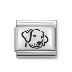 Nomination Jewelry SilverShine Classic teräskoru muu 330109/06