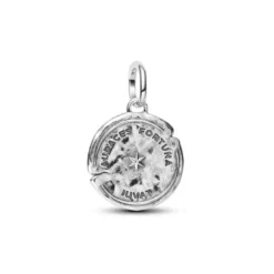 Pandora Dolphin Medallion hopeariipus 794807C01