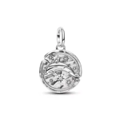 Pandora Dolphin Medallion hopeariipus 794807C01