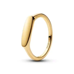 Pandora Engravable Bar Ring muotisormus 163986C00