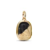 Pandora ME Owl Medallion muotiriipus 764805C01