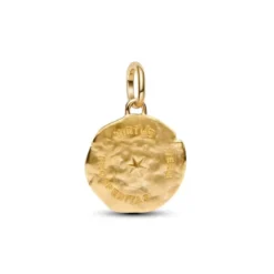 Pandora ME Wheat Medallion muotiriipus 764804C01
