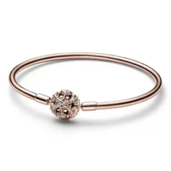 Pandora muotirannekoru 582338C01
