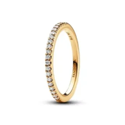 Pandora muotisormus 162999C01
