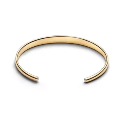 Pandora Open Bangle muotirannekoru 564754C01-2