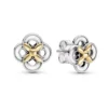 Pandora Passions hopeakorvakorut 299349C00