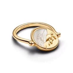 Pandora Pegasus Reversible muotisormus 164812C01