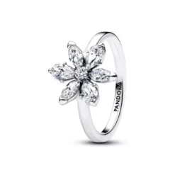 Pandora Sparkling Flower hopeasormus 193000C02