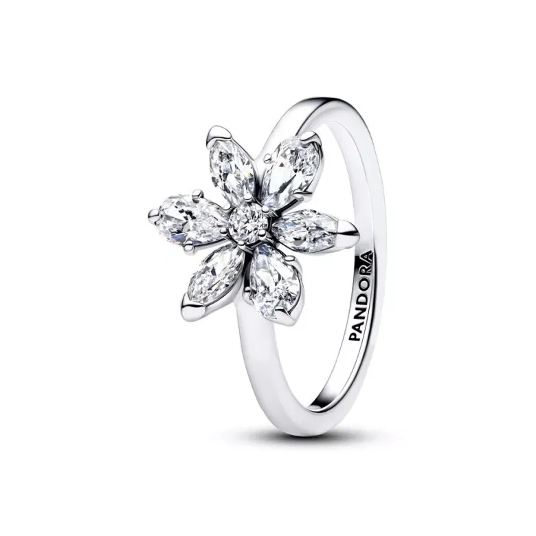 Pandora Sparkling Flower hopeasormus 193000C02