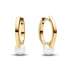 Pandora Timeless muotikorvakoru 263170C01