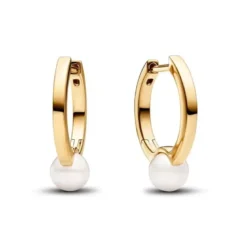 Pandora Timeless muotikorvakoru 263170C01