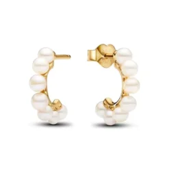 Pandora Timeless muotikorvakoru 263179C01