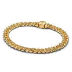 Pandora Timeless muotirannekoru 563008C01