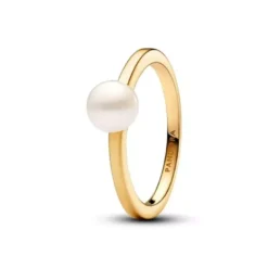 Pandora Timeless muotisormus 163157C01