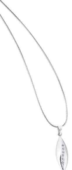 Plus hopeariipus SCC09368-10