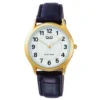 Q&Q miesten kello C48A-003PY