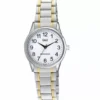 Q&Q naisten kello C11A-011PY